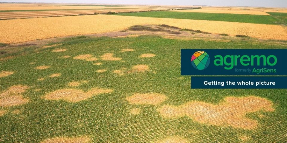 How to Spot Plant Disease and Weed? This Smart Farmer Tried Drone Technology?