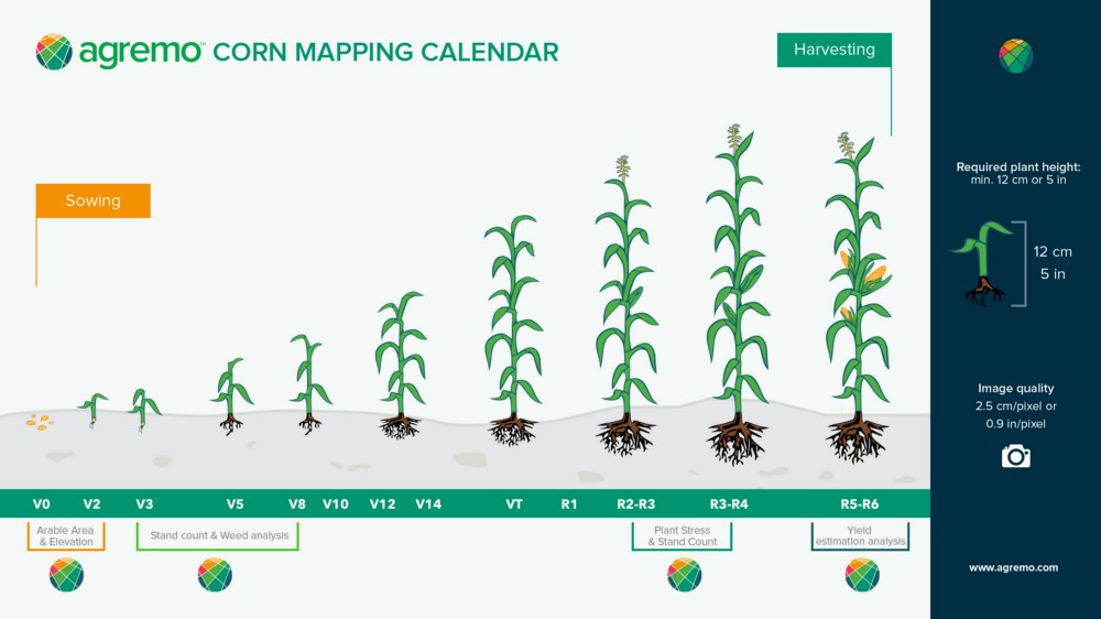 The Ultimate Seasonal Guide to Corn Farming & Drones - Agremo
