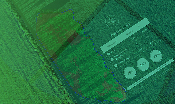 Agriculture Solutions