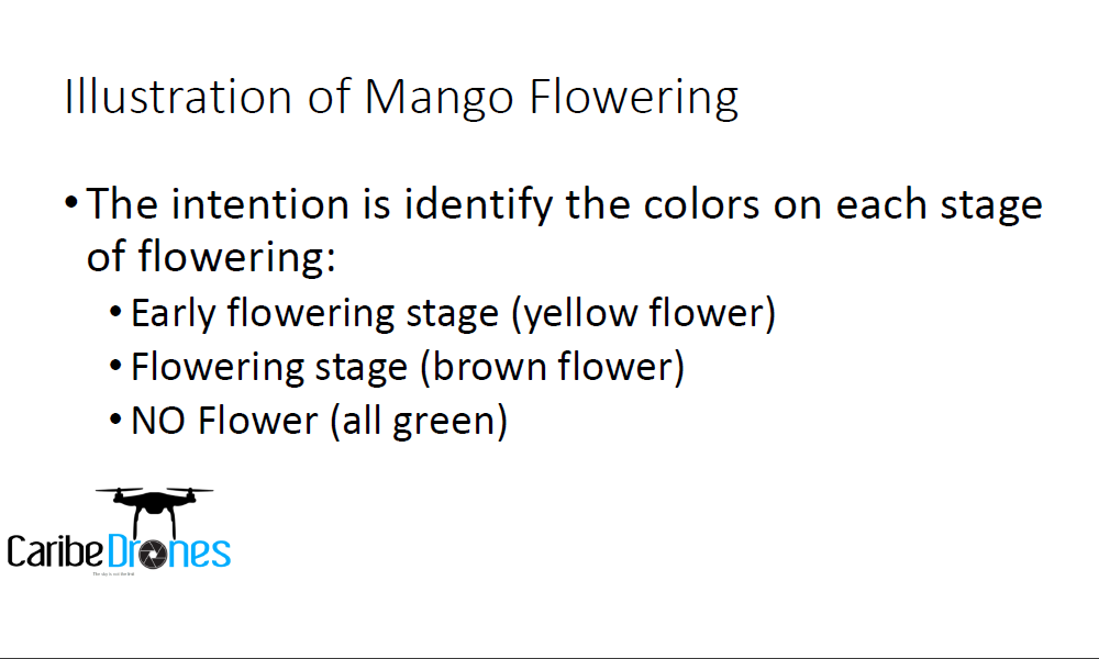 mango-precision-agriculture