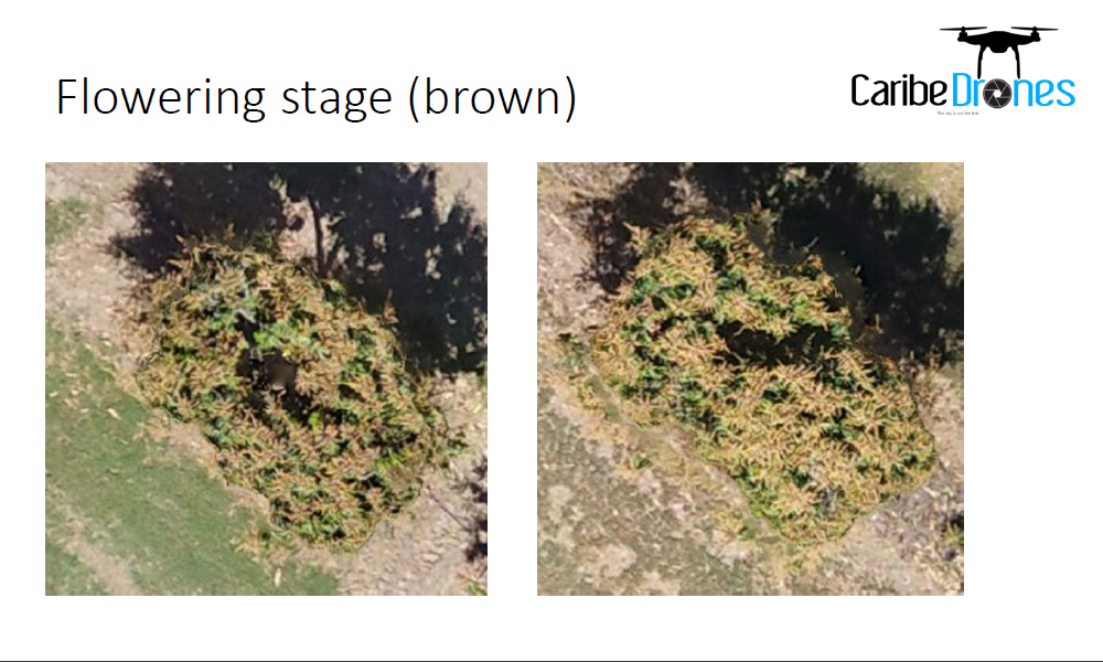 precision-farming-solutions