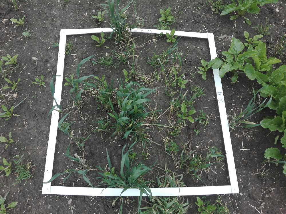 ground-truth-marker-agriculture