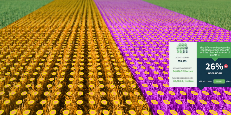 5 Reasons why Stand Count is Important at the Seedling Stage