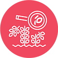 Green Snap Detection