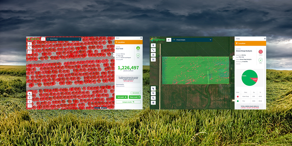 Crop Damage Quantification for Crop Insurance