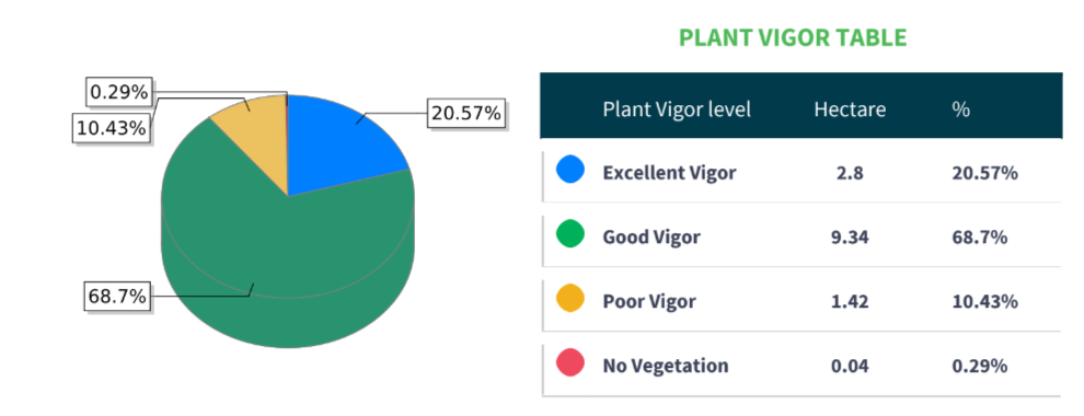 plan vigor analysis result 