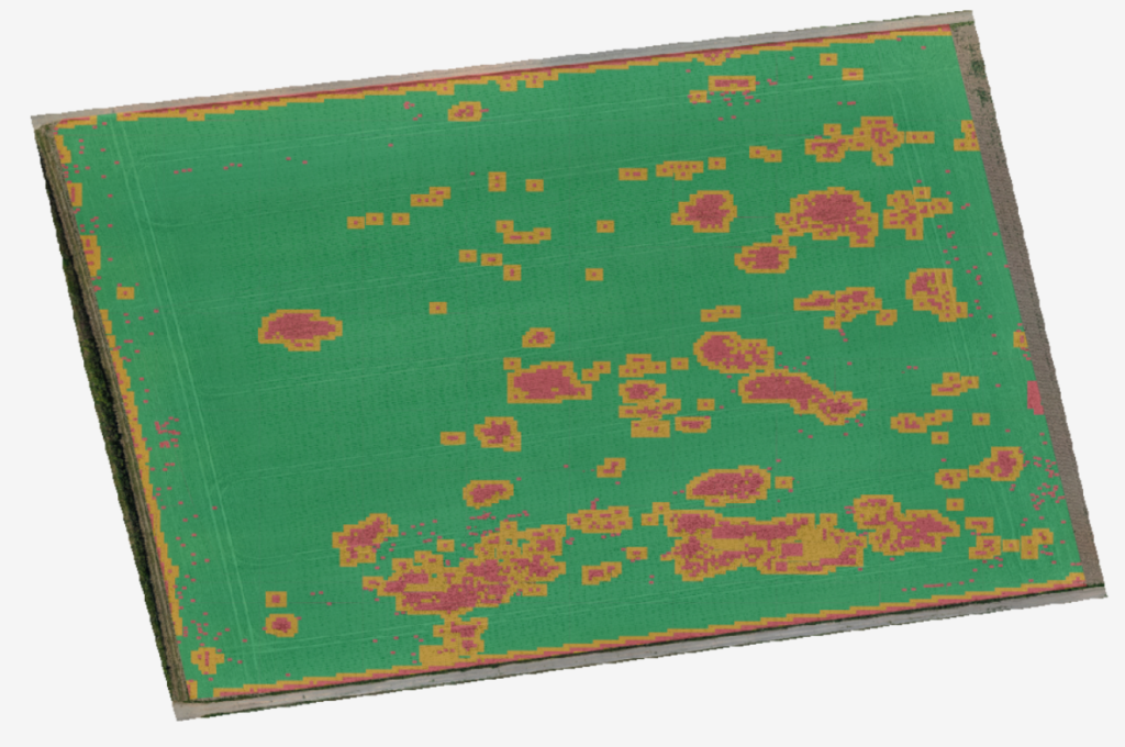 Agremo weed analysis result