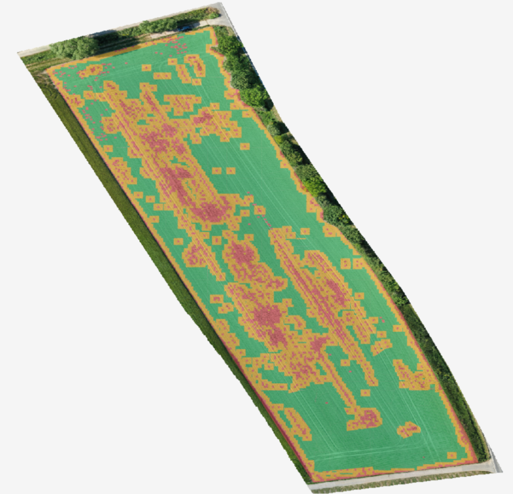 Agremo weed analysis result