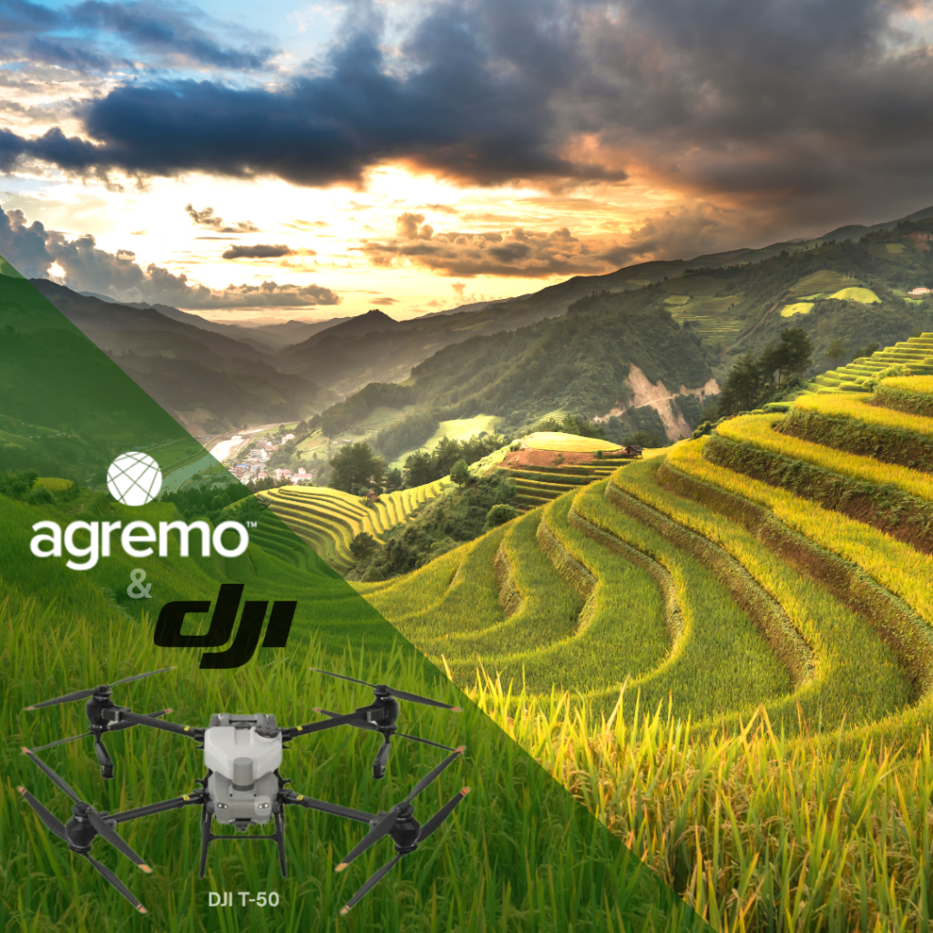 Agremo and DJI - rice field
