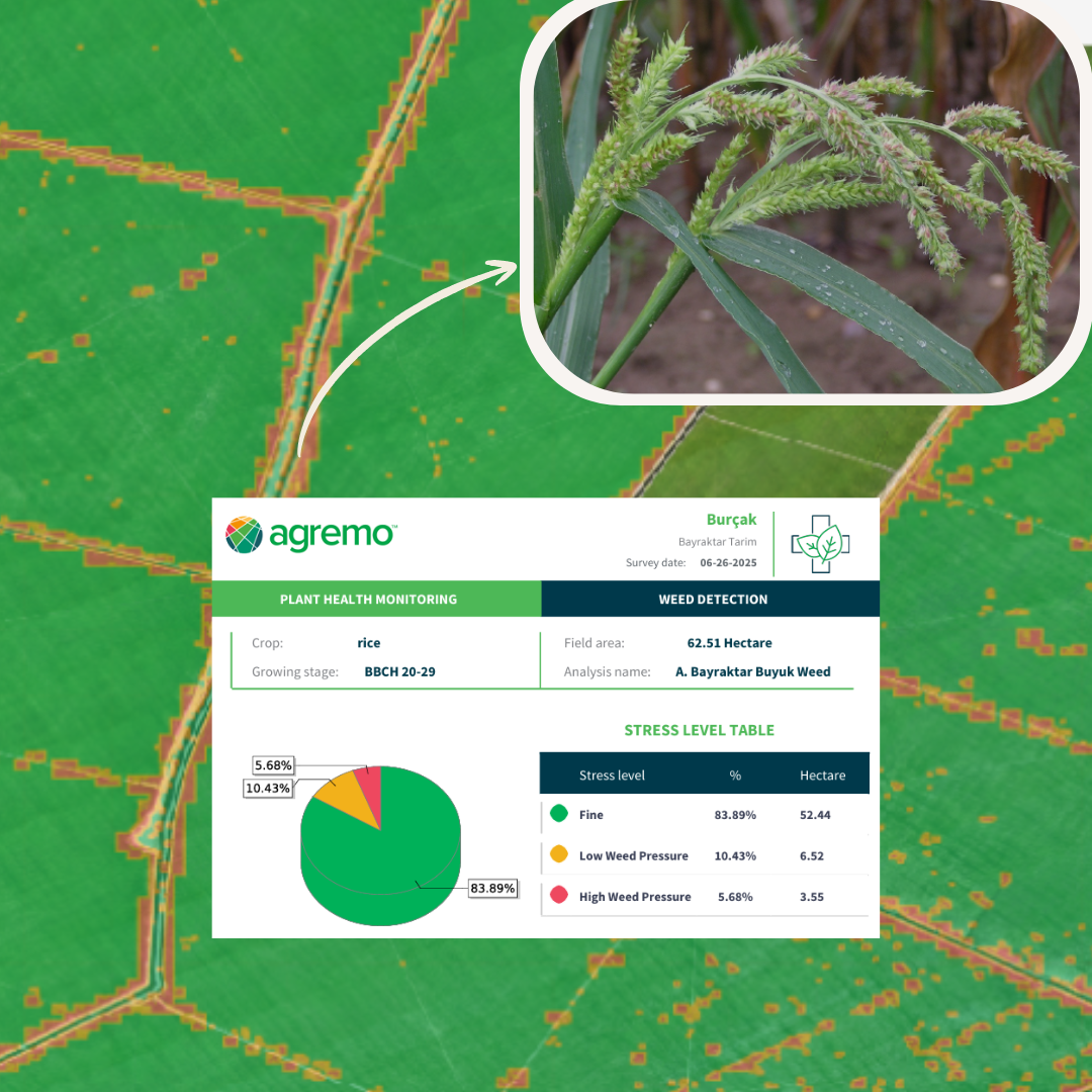 Weed Control with DJI Drones | 88% Less Pesticide - Agremo