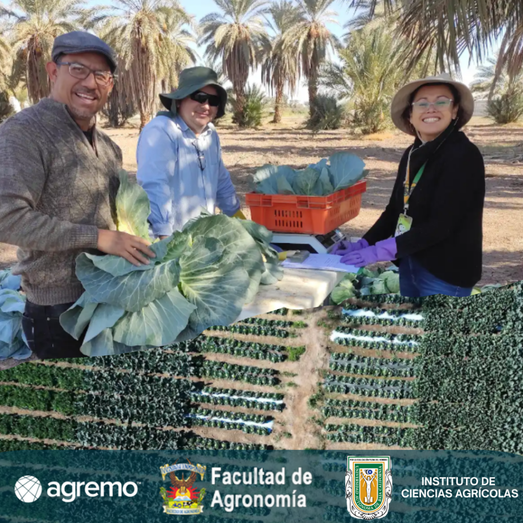 Plant Counting Agremo