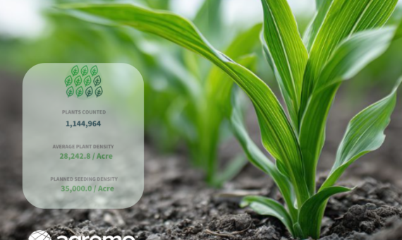 AI Stand Count for Corn: Target Weak Zones and Prevent Yield Loss