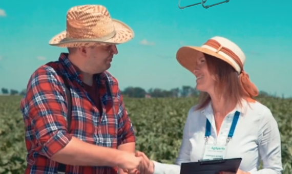 In-Field Solution: From Drone Images to Spraying in 30 min