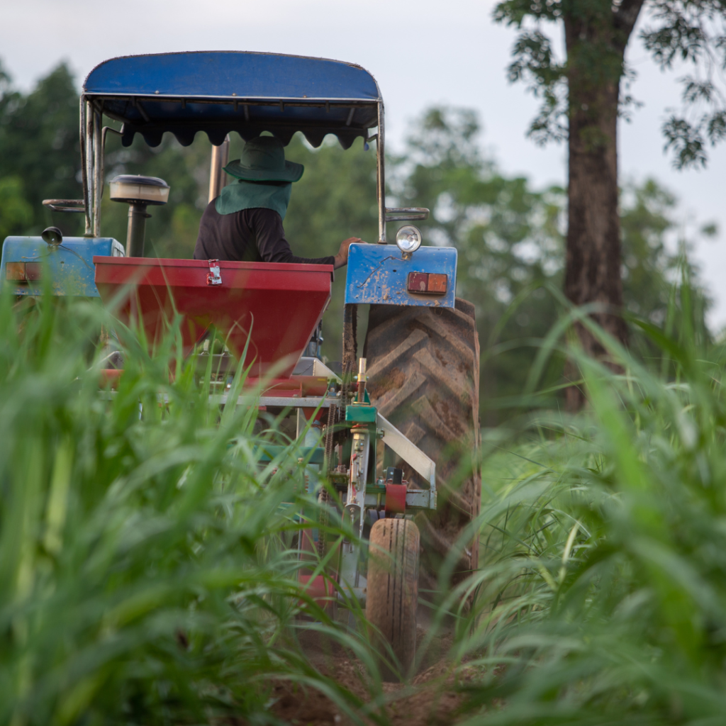 traditional fertilizer approach traditional fertilizer approach