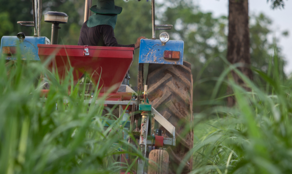 Sugarcane Fertilizer Optimization with VRA