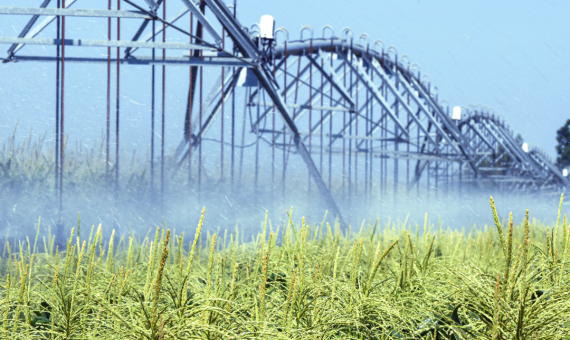 Detect Pivot Irrigation Issues Before Yield Loss Occurs