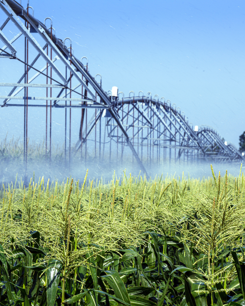 irrigation system in corn - Agremo